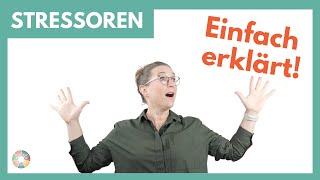 Stressoren identifizieren Stressoren einfach erklärt [upl. by Eben]