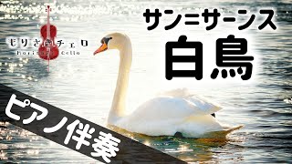 【楽譜あり】チェロの名曲「白鳥（サンサーンス）」のピアノ伴奏動画を撮ったので使って欲しい [upl. by Loris]