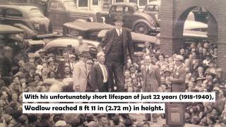 Robert Wadlow  Tallest Person In Recorded History  Officially Incredible  Record Owner [upl. by Osnofedli]