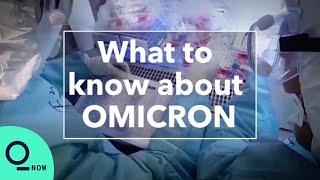 Everything We Know About the Omicron Variant [upl. by Plotkin]