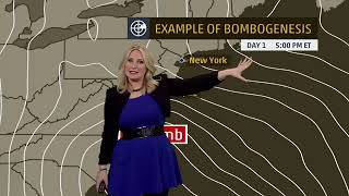 2014 What Is Bombogenesis The Science Behind Weather s Bomb 1 [upl. by Salohcim703]