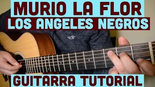 Murio La Flor  Tutorial de Guitarra  Los Angeles Negros  Para Principiantes [upl. by Nirrok]