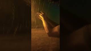 Random rainy day in florida music cover song rain storm shorts short video love beach [upl. by Griff]