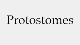 How to Pronounce Protostomes [upl. by Salomone75]