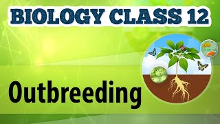 Outbreeding  Animal Husbandry  Biology Class 12 [upl. by Quintie]