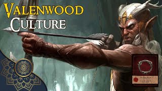 Valenwood amp Bosmer Culture  The Elder Scrolls Tales of Tamriel  Lore Analysis EXPLAINED [upl. by Ahterod144]