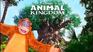 Top 10 BEST Disneys Animal Kingdom Secrets  Walt Disney World [upl. by Ohare]