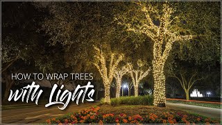 How To Wrap Trees With Lights [upl. by Cinda55]