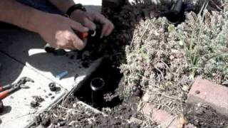 How to Replace a Sprinkler Riser [upl. by Askari599]