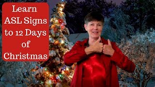 Kids Christmas Songs  12 Days of Christmas  Helen Doron Song Club [upl. by Aizirtap110]