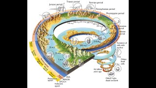 The Epic Evolution of Earth and Life From Big Bang to Present Day [upl. by Roybn]