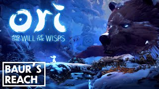 Ori and the Will of the Wisps  Baurs Reach amp Light Burst ability Episode 10 [upl. by Nelrac]