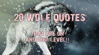 20 Wolf Quotes that are on another level [upl. by Barb938]