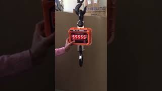 Calibration Process Of Original OCS Heavy Duty Digital Crane Scale [upl. by Sunny744]