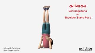 Sarvangasana or Shoulder Stand Pose [upl. by Shanon]