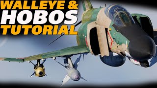 DCS F4E Phantom TV Guided Bombs Tutorial  Walleye amp HOBOS [upl. by Nedrob]