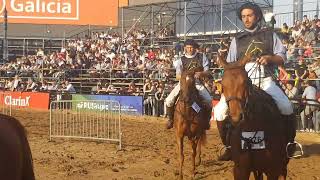 Expo Rural Palermo 2022 Caballos de Polo 2 [upl. by Aniuqaoj436]