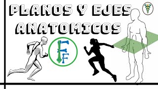 PLANOS Y EJES Anatomicos  Biomecánica  Fisioterapia Fácil [upl. by Qiratla]