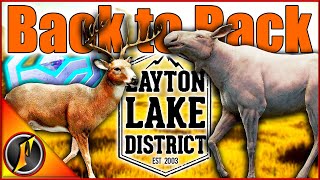 BACK TO BACK Trophies  Diamond Whitetail amp Albino Moose [upl. by Tut]