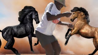 The Dance Of Horses Borrowdale  The Fastest Leg Dance In The World SuguraDance Zimbabwe Dance [upl. by Adniral]