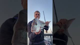 Gold Coast Snapper Fishing Epic Battles amp Big Catches [upl. by Llaccm]