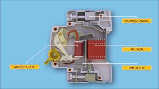 HOW MCB AND RCD WORK [upl. by Warram502]