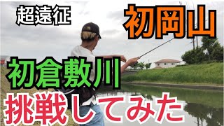 【バス釣り】人生初岡山❗️倉敷川に挑むが… [upl. by Nasus]