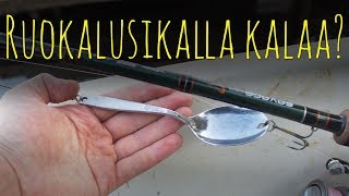 Voiko ruokalusikalla saada kaloja  Kalastus [upl. by Jeffries]