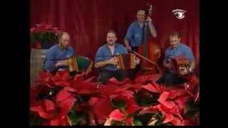 Schwyzerörgeliquartett Habkern Roman Polka [upl. by Nevs]