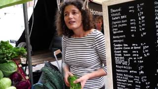 Haarlem Netherlands weekly outdoor food market [upl. by Aley]