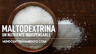 MALTODEXTRINA ¿indispensable para DEPORTISTAS [upl. by Edmead523]