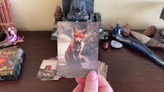 Lenormand Oracle Card Tutorial [upl. by Litta510]