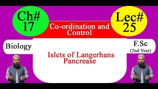 Biology Ch17Lecture25 Islets of langerhans pancrease FSc 2nd Year [upl. by Ko]