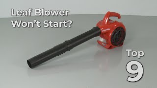 Top Reasons Leaf Blower Wont Start — Leaf Blower Troubleshooting [upl. by Nylavad874]