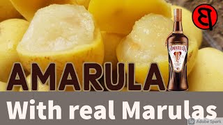 How to make Amarula using Marula Mampoer [upl. by Naujat447]