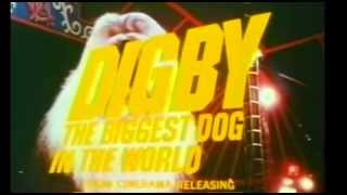 DIGBY THE BIGGEST DOG IN THE WORLD 1973 TV Spot [upl. by Flossi]