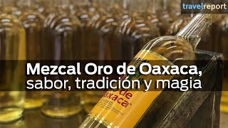 Mezcal Oro de Oaxaca sabor tradición y magia [upl. by Radman267]