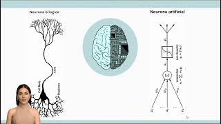 Neuronas biológicas vs artificiales 🧠 [upl. by Plank]