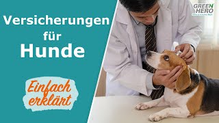 Hundeversicherung ✅ Einfach erklärt  Diese Versicherungen brauchst du wirklich [upl. by Aisnetroh610]