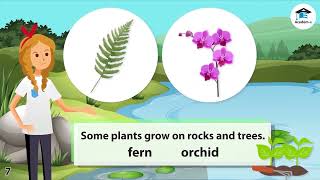 SCIENCE01L17 Characteristics of Plants [upl. by Aekim]