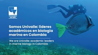 Somos Univalle líderes académicos en biología marina en Colombia [upl. by Berman386]