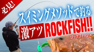 【 ロックショア 】スイミングで釣る根魚は激熱！ [upl. by Niamjneb]