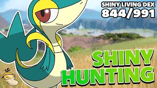 LIVE Shiny SNIVY Hunting  Pokemon SV The INDIGO DISK [upl. by Sedrul51]