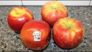 Cosmic Crisp Apple vs Honeycrisp Apple Comparison amp Review [upl. by Rayburn663]