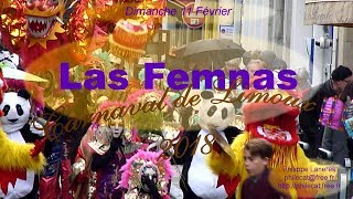 Carnaval de Limoux 2018  Las Femnas [upl. by Neeka]