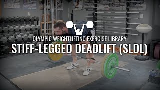 StiffLegged Deadlift SLDL  Olympic Weightlifting Exercise Library [upl. by Colwin373]