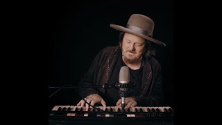 Zucchero  Facile Live Acoustic [upl. by Akemej816]