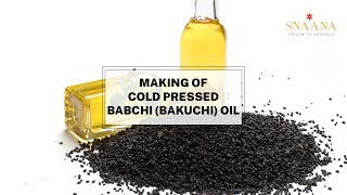 Making of Cold Pressed BabchiBakuchi Oil  Benefits of bakuchi Oil  Psoralea Seeds Oil  SNAANA [upl. by Arob34]