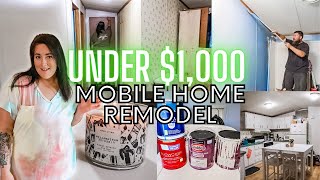 REMODELING A SINGLE WIDE MOBILE HOME FOR UNDER 1000 DOLLARS  MOBILE HOME UPDATE [upl. by Airel785]