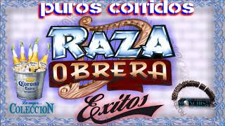 LA RAZA OBRERA PUROS CORRIDO [upl. by Atnom]